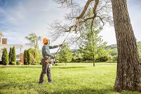 Why Choose Our Tree Removal Services in Amherst, OH?